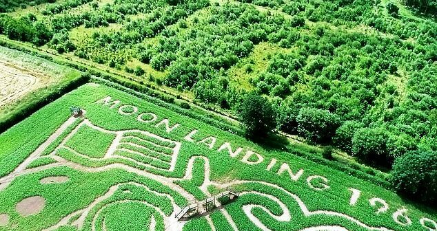 The best tribute to Apollo 11 ever!: 50th anniversary of the Apollo 11 landing celebrated by a 28-acre maze in Illinois. 8