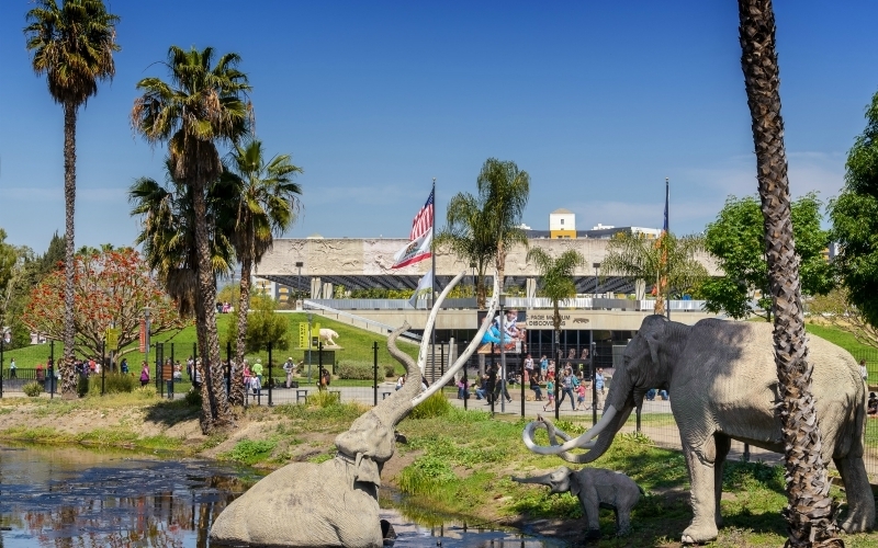 La Brea Tar Pits up for renovation. Know about its past and present! 8