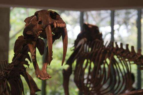 La Brea Tar Pits up for renovation. Know about its past and present! 9