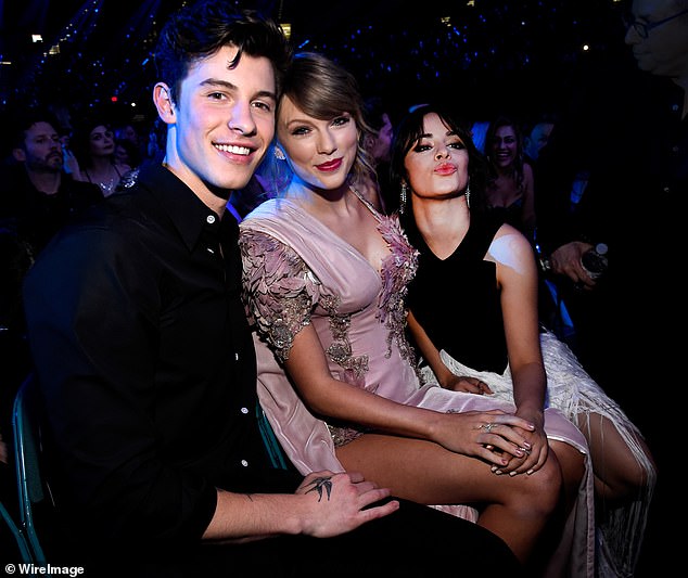 Taylor Swift And Shawn Mendes Surprise Fans With Beautiful