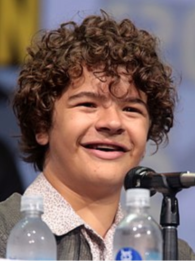 Gaten Matarazzo of Netflix's Stranger Things has become an example at