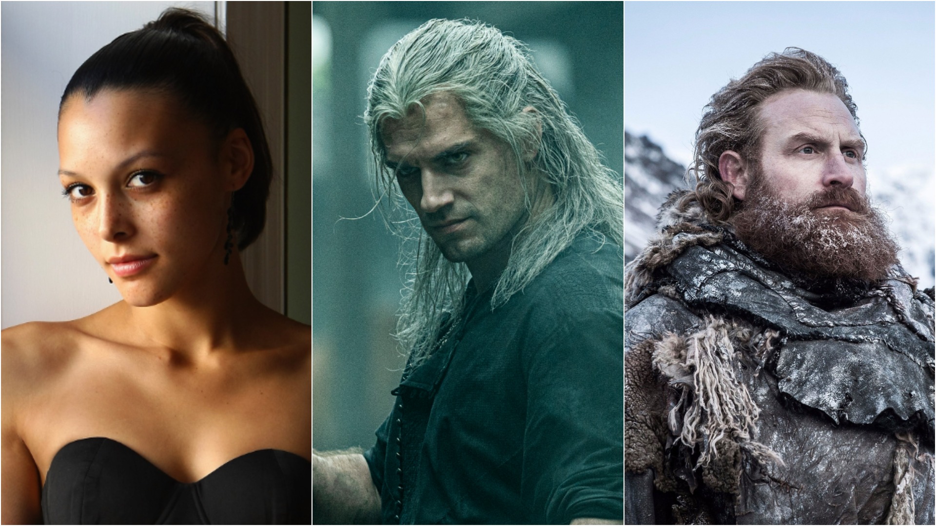 the witcher web series cast