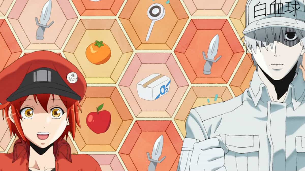 Cells At Work! Season 2