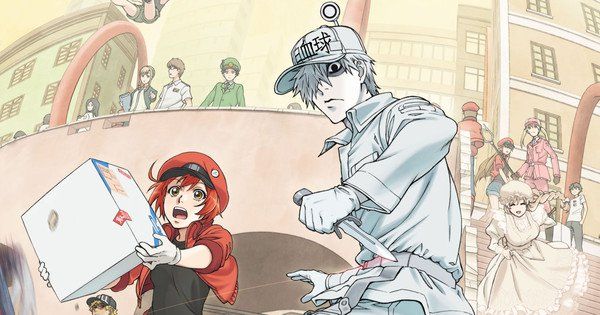 Cells At Work! Season 2