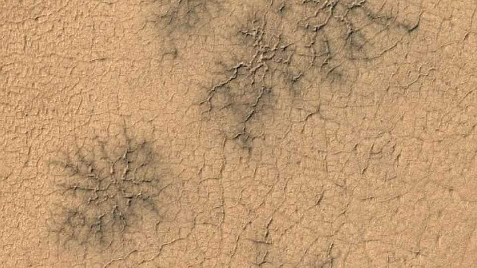 spiders on Mars