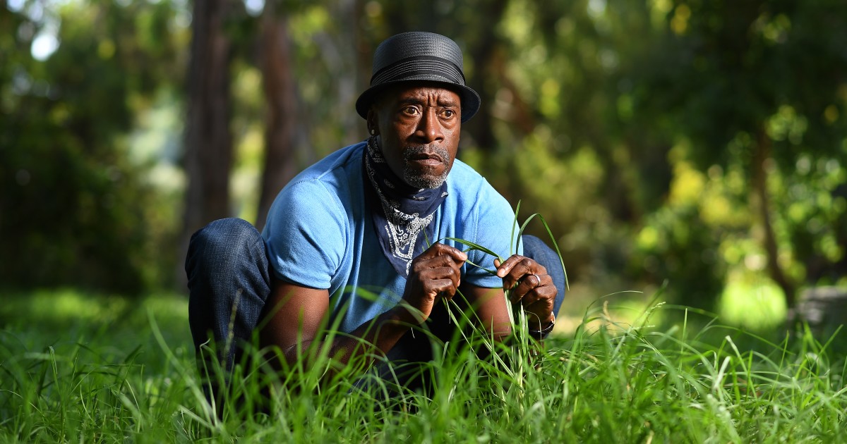 Don Cheadle 