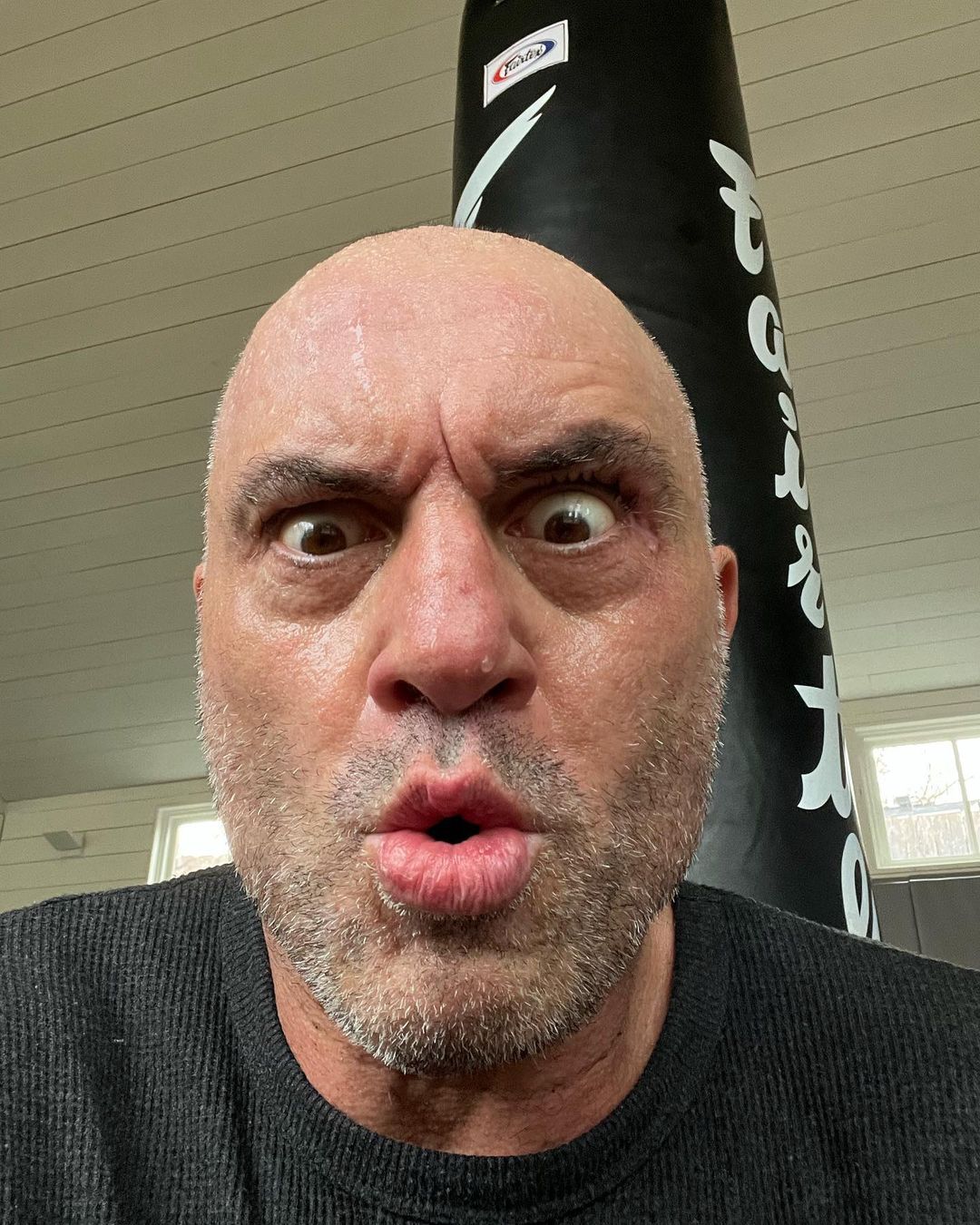 Joe Rogan