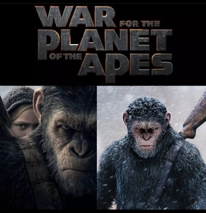 of The Apes is Returning with another Exciting Saga ‘The Kingdom