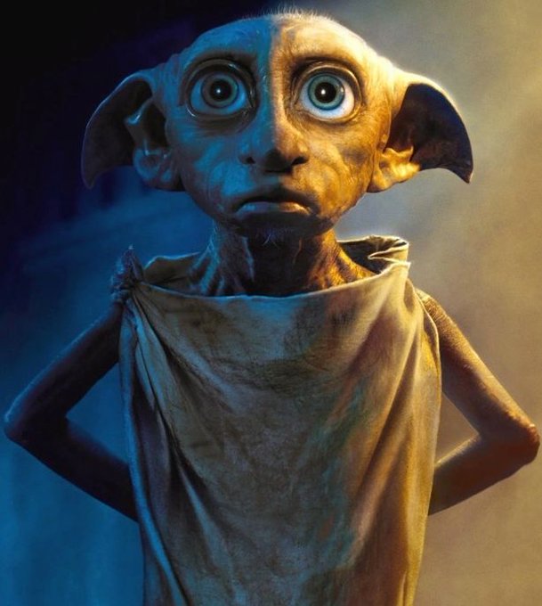 Dobby | Harry Potter 