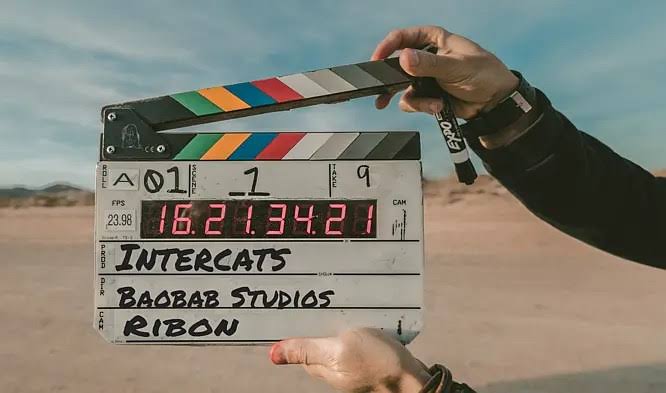 Intercats 