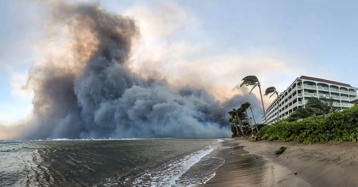 How did the Maui fire start? Shocking details uncovered about the cause of the Lahaina blaze! 16