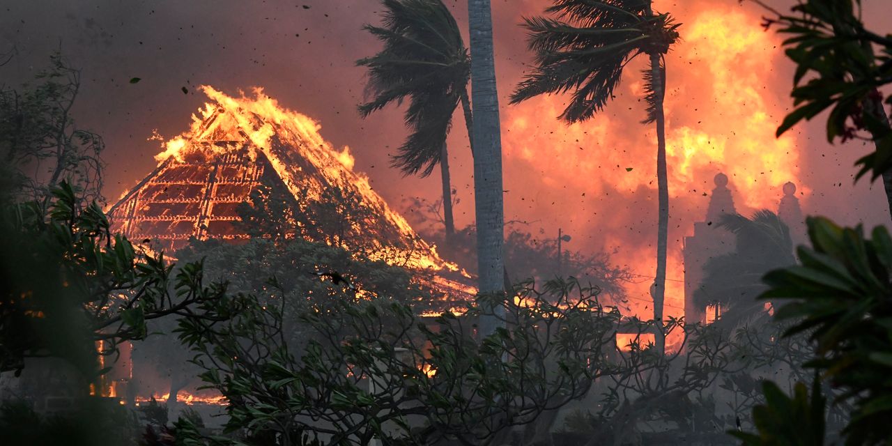 Hurricane-Fueled Wildfires Devastate Maui: Shocking Death Toll of 36 Revealed! 18
