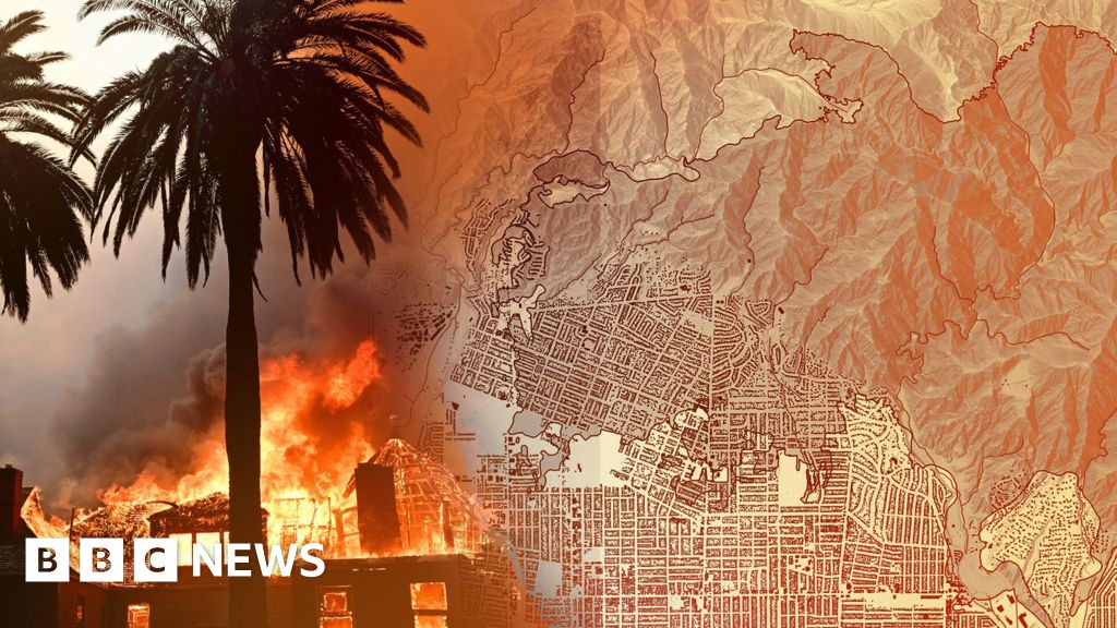 la-fires-update-8590.jpeg