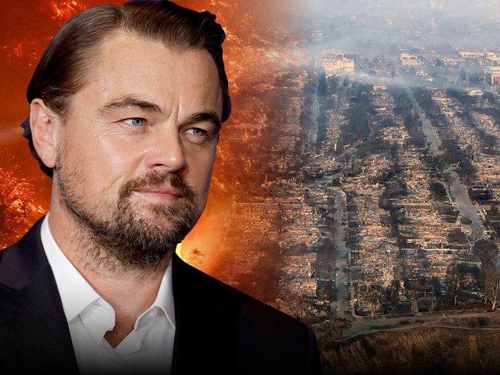 leonardo-dicaprio-wildfire-relief-donation-7441.jpeg