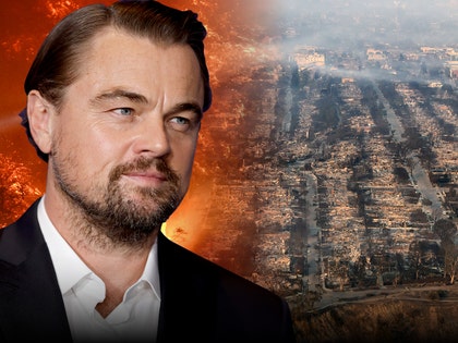 leonardo-dicaprio-wildfire-relief-donation-9631.jpeg