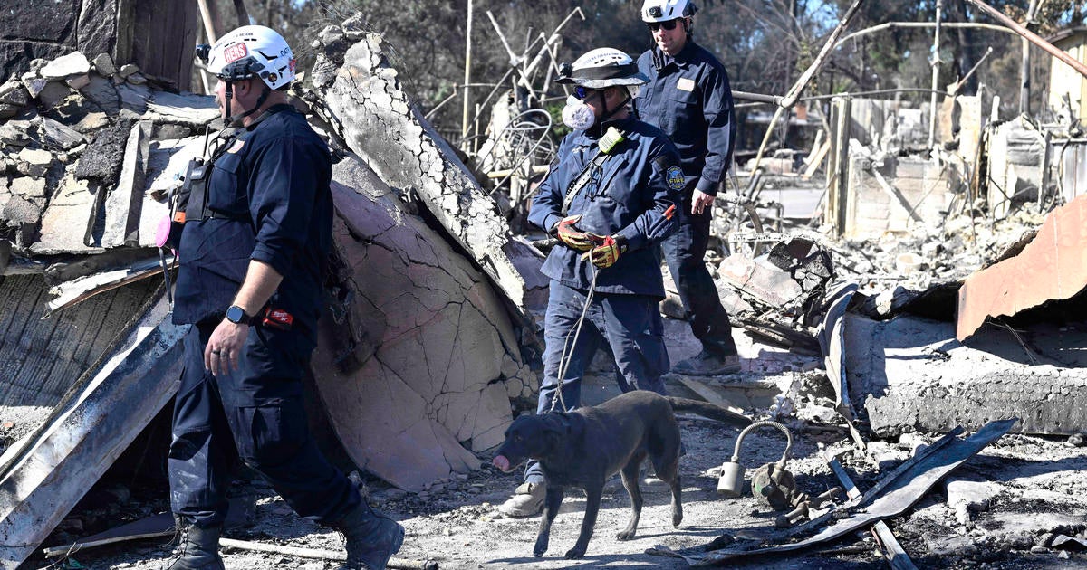 menendez-brothers-l-a-wildfires-resentencing-delay-9104.jpeg