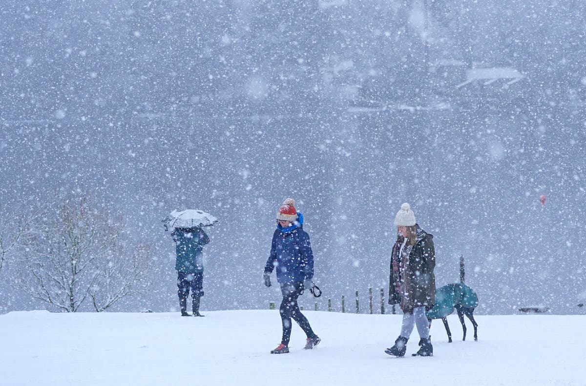 UK sees coldest January night in 15 years as winter snap continues